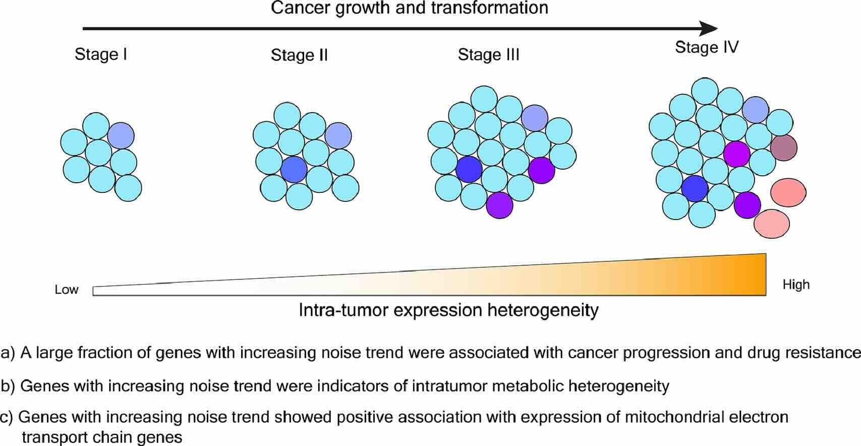 Visualization for the CancerNoiseAnalysis pipeline