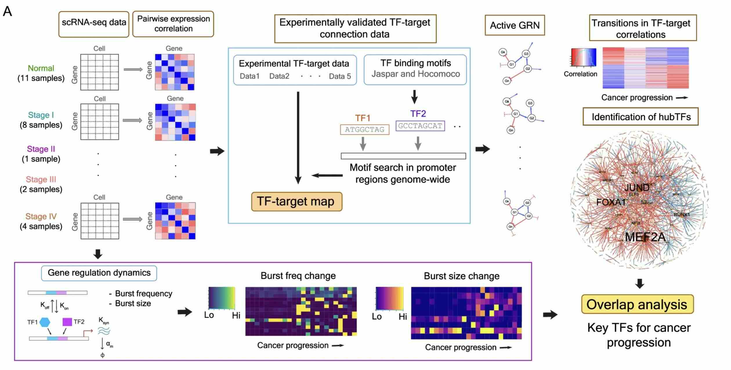 Visualization for the GRN_LUAD analysis pipeline